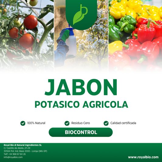 1107 JABON POTASICO AGRICOLA.png