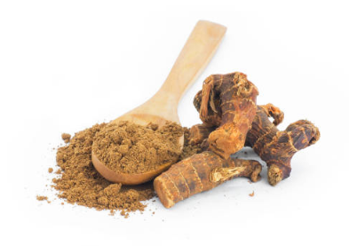 GROUND GALANGAL ROOT – B2B Royal Bio